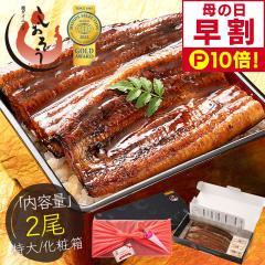 �y��̓� ����P10�{�I�z ���Ȃ� ���Ă� ���� ���Y ����T�C�Y ��200g�~2�� �E�i�M �V �̋z�� ���ϔ� �M�t�g �v���[���g ��̓�