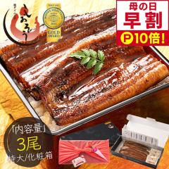 �y��̓� ����P10�{�I�z ���Ȃ� ���Ă� ���� ���Y ����T�C�Y ��200g�~3�� �E�i�M �V ���ϔ� �M�t�g �v���[���g ��̓�