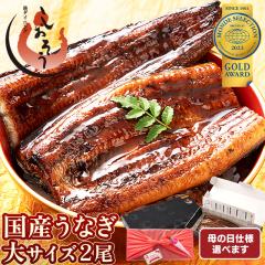 ���Ȃ� ���Ă� ���Y ���� ��T�C�Y 165g�O��~2�� �E�i�M �V �̋z�� ���ϔ� �M�t�g �v���[���g