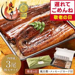 �y�h�V�̓� �x��Ă��߂�ˁz �V ���Ȃ� ���Ă� �h�V�̓� ���Y�V ���� ���Y ����T�C�Y ��200g�~3�� �E�i�M �H�ו� ���Y�E�i�M �O���� ��