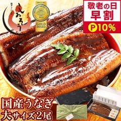 �y�h�V�̓� ����P10���I�z ���Ȃ� ���Ă� ���Y ���� ��T�C�Y 165g�O��~2�� �E�i�M �V �̋z�� ���ϔ� �M�t�g �v���[���g �M�t�g�Z�b�g 