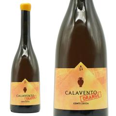 �J�����F���g �I�����W 2022 �R���e�B �[�b�J I.G.T�T�����g ���E����L���b�v