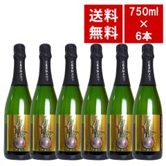 �y�������� 6�{�Z�b�g�z�N���}�� �h �u���S�[�j�� �u�����b�g �V�����p��2�����y���� ���[ �f������ ���K �A �� ���C���Z�b�g