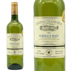 �V���g�[ �O���� �W���� �u���� ���B�G�C�� ���B�[�j�� 2024 �V���g�[���l AOC�{���h�[ �u���� �W���x�[��&�K�C���[��2025���܎��