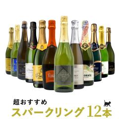 �y���������z�������܃V���[�Y �X�p�[�N�����O12�{ ���C���Z�b�g �V�����p�� �X�p�[�N�����O���C�� �A �h�� �r���񎟔��y �J���@ �N���}