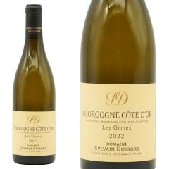 �u���S�[�j�� �R�[�g �h�[�� �u���� �L���x �I���� 2022�h���[�k �V�����@���E�f���\�[ (�A���k�E�J�����[�k��)  ���l