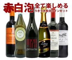 パイパー エドシック シャンパーニュ “レア ヴィンテージ”【レア ラ