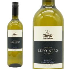 ���b�J ���| �l�� �V�V���A �r�A���R 2024 ���b�J�� IGT�V�`���A �r�A���R