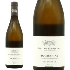 �u���S�[�j�� �V�����h�l 2023 ���o���i �V���g�[ �h �V�g�[(�t�B���b�v �u�Y���[���l) AOC�u���S�[�j�� �V�����h�l