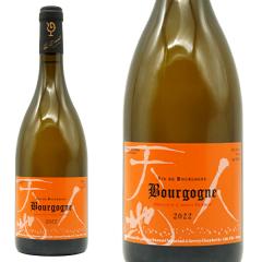 �u���S�[�j�� �V�����h�l (�u����) 2022 �Z���[�o���i ���[ �f������(���c�W�i) �t�����`�I�[�N�M���ق�16�����n�� ���K�i