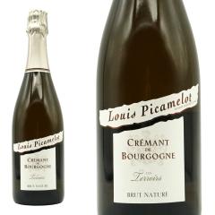 �N���}�� �h �u���S�[�j�� �u�����b�g �i�`���[�� NV  (�V�����p�[�j������ ���\�b�h �g���f�B�V���i�� �r���񎟔��y)  ���C �s�J������