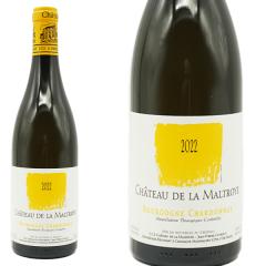 �u���S�[�j�� �V�����h�l 2022 ���o������i �V���g�[ �h �� �}���g�������l(����W���� �s�G�[�� �N�����j����) ���R�h