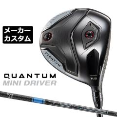 ���[�J�[�J�X�^���N���u �L�����E�F�C �N�A���^�� �~�j �h���C�o�[ �E�p TENSEI PRO BLUE 1K �J�[�{���V���t�g ���{���K�i QUANTUM MINI 