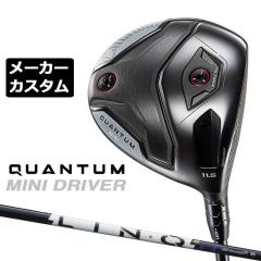 ���[�J�[�J�X�^���N���u �L�����E�F�C �N�A���^�� �~�j �h���C�o�[ �E�p LIN-Q PowerCore BLUE �J�[�{���V���t�g ���{���K�i QUANTUM MIN