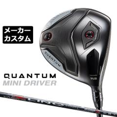 ���[�J�[�J�X�^���N���u �L�����E�F�C �N�A���^�� �~�j �h���C�o�[ �E�p LIN-Q RED EX �J�[�{���V���t�g ���{���K�i QUANTUM MINI DRIVER