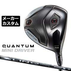 ���[�J�[�J�X�^���N���u �L�����E�F�C �N�A���^�� �~�j �h���C�o�[ �E�p LIN-Q WHITE EX �J�[�{���V���t�g ���{���K�i QUANTUM MINI DRIV