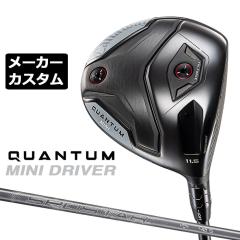 ���[�J�[�J�X�^���N���u �L�����E�F�C �N�A���^�� �~�j �h���C�o�[ �E�p SPDSTAR 40 �J�[�{���V���t�g ���{���K�i QUANTUM MINI DRIVER 2