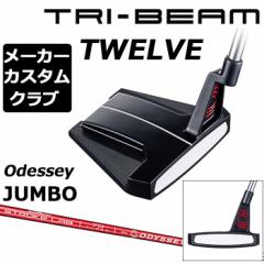 y[J[JX^zIfbZC TRI-BEAM 2023 p^[ Ep STROKE LABVtg bh (2023)  TWELVE {Ki ODYSSEY gCr[