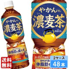 �₩��̔Z���� from �u������ 600ml 48�{ (24�{�~2�P�[�X) PET �@�\���\���H�i ���S�̃��[�J�[���� ��������