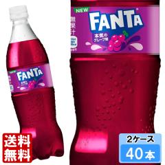 �t�@���^ �O���[�v 700ml 40�{ �i20�{�~2�P�[�X�j PET fanta �t���[�o�[ �Ԃǂ� �u�h�E �Y�_���� ���S�̃��[�J�[���� ���{�S����������
