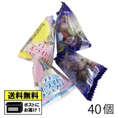 �^�N�} ���̏��΃`���R���[�g���v�`�z���C�g�}�V���}�� 40�� �i2��ށ~�e20�j �o�����^�C�� �z���C�g�f�[ ��l���� ����� ���َq ���[