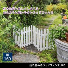   ܂߂EbhtFX 160 ؐ VR g K[f d؂ ^ E |  O DIY ȈՐݒu x_ hb