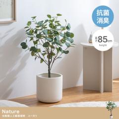 �t�F�C�N�O���[�� �ϗt�A�� ��^ ����85cm ���G�} �l�H�ϗt�A�� ���[�J�� Nature(�i�`����) �t�F�C�N �O���[�� ���A�� ���� ������� �C