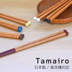  22.5cm { Tamairo VR ؐ 킢  Ȃ ~ ͂  ͂ ₷ Y v[g Mtg 蕨