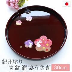 �ۖ~ �� �������� �g���[ 30cm 10�� �I�B�h�� ���~ ���q�p �����ĂȂ� ���{�� ������� ������ �~ �� ������ �I�B���� ���Y ���ڂ� �g��