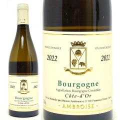 2022 �u���S�[�j�� �R�[�g �h�[�� �u���� 750ml �x���g���� �A���u�����[�Y �u���S�[�j�� �t�����X �����C�� �R�N�h�� ���C�� ^B0AMDB22^