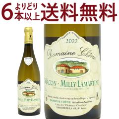 ���ǂ�6�{�ő������� 2022 �}�R�� �~���B ���}���e�B�[�k 750ml �h���[�k �V�F�[�k �����C�� �R�N�h�� ���C�� ^B0CHML22^