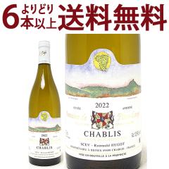 ���ǂ�6�{�ő������� 2022 �V���u�� �L�����F �A���g���[�k 750ml �h���[�k �h �s�X ���[ �����C�� �R�N�h�� ^B0PSCM22^