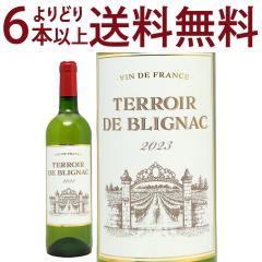 ���ǂ�6�{�ő������� 2023 �e�����[�� �h �u���j���b�N �u���� 750ml �e�����[�� �h �u���j���b�N �t�����X �� �R�N�h�� ^D0TOBL23^