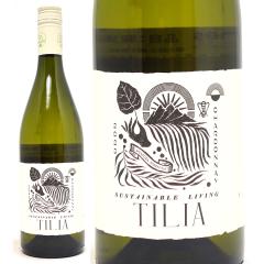 2023 �e�B���A �V�����h�l 750ml �{�f�K�X �G�X�������_ / �{�f�K �J�e�i �T�p�[�^ �A���[���`�� �����C�� �R�N�h�� ^OBEMTC23^