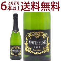 ���ǂ�6�{�ő������� �A�|�e�I�[�Y �u���� �h �u���� �u�����b�g 750ml �A�|�e�I�[�Y ���A �R�N�h�� �X�p�[�N�����O ^VBOH02Z0^