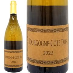 2023 �u���S�[�j�� �R�[�g�h�[�� �u���� 750ml �t�B���b�v �V�������p�� �u���S�[�j�� �t�����X �����C�� �R�N�h�� ���C�� ^B0PHCW23^
