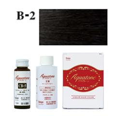 B2 白髪染め ] ホーユー アクアトーン ヘアカラー カラーリング 女性用