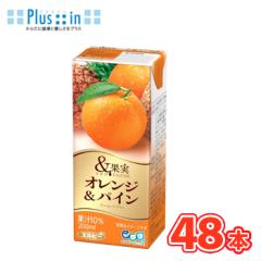 �G���r�[�@���ʎ� �I�����W���p�C���@200ml�~24�{��/2�P�[�X�@���p�b�N�k�~�b�N�X�W���[�X �t���[�c�W���[�X �I�����W orange �p�C�� pin