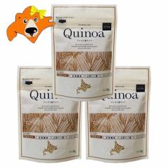 �L�k�A �k�C�� ������ �L�k�A 1�܁~3 �X�[�p�[�t�[�h ���� / �G�� Quinoa�@