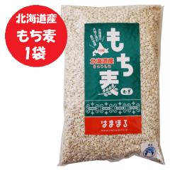 ������ �������� �����ނ� 1�� �k�C�� �������� �唞 ���� �G��