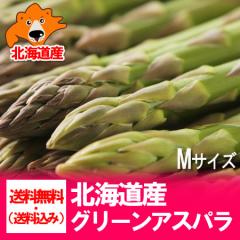 �A�X�p�� �������� �O���[���A�X�p�� �k�C�� �A�X�p���K�X M�T�C�Y 1.5kg �O���[�� �A�X�p�� �k�C���Y ��� �O���[���A�X�p���K�X ������