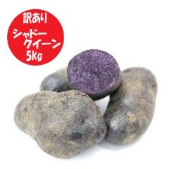 �󂠂� �k�C�� ���Ⴊ���� �V���h�[�N�C�[�� �k�C���Y ���Ⴊ���� 5kg S����L�T�C�Y �k�C�� �W���K�C�� ��� ���Ⴊ���� �킯���� �t���C