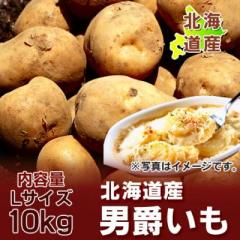 �ŒZ������ ���Ⴊ���� �j�݂��� �������� �j�݂��� 10kg �k�C�� �W���K�C�� ���񂵂Ⴍ���� L�T�C�Y �k�C���Y ��� �j�݈�