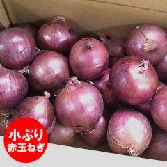 ���������� �k�C�� �󂠂� �ʂ˂� �A�[���[���b�h �������� �Ԃ����܂˂� �A�[���[���b�h 2kg �� �^�}�l�M �ʔK S�T�C�Y ���܂˂� �킯��