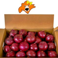 ���������� ���܂˂� �A�[���[���b�h 10kg S�T�C�Y �k�C�� �k���Y �������� �x�ǖ�Y �ԋʂ˂� �������� �Ԃ� �ʂ˂� 1��(1�P�[�X) �� ��