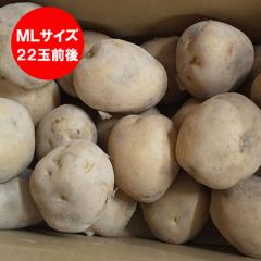 ���������� ���Ⴊ���� �j�݂��� �������� ���񂵂Ⴍ���� 2kg ML�T�C�Y �k�C�� �W���K�C�� ���