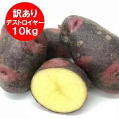 �����������@�󂠂� �k�C�� ���Ⴊ���� �f�X�g���C���[ �k�C���Y ���Ⴊ���� 10kg M����2L�T�C�Y �k�C�� �W���K�C�� ��� ���Ⴊ���� ��