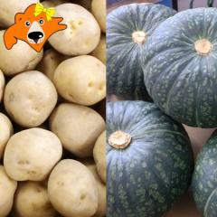�ŒZ������ ��؃Z�b�g ���������� 10kg �������� ���ڂ��� 10kg �v 20kg �k�C�� �k������ �L�^�A�J�� �J�{�`�� ��Z ��� �Z�b�g �l�ߍ�