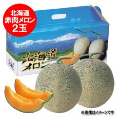 �ŒZ������ �k�C�� ������ �������� ������ 2�� �k�C�� �ԓ������� �G�i 1.5kg�`1.6kg 2�� ���� ���ϔ��� �t���[�c �ʕ� ������ ��������
