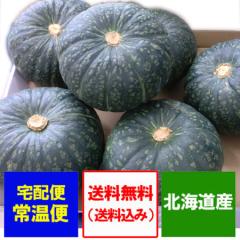 �ŒZ������ ��� ���ڂ��� �������� �k�C�� �J�{�`�� 10kg ��Z (5�ʂ���6�ʓ�) 1�� ���т� / ��\�㗢 / ����䂽�� / ���肵�傤���� /